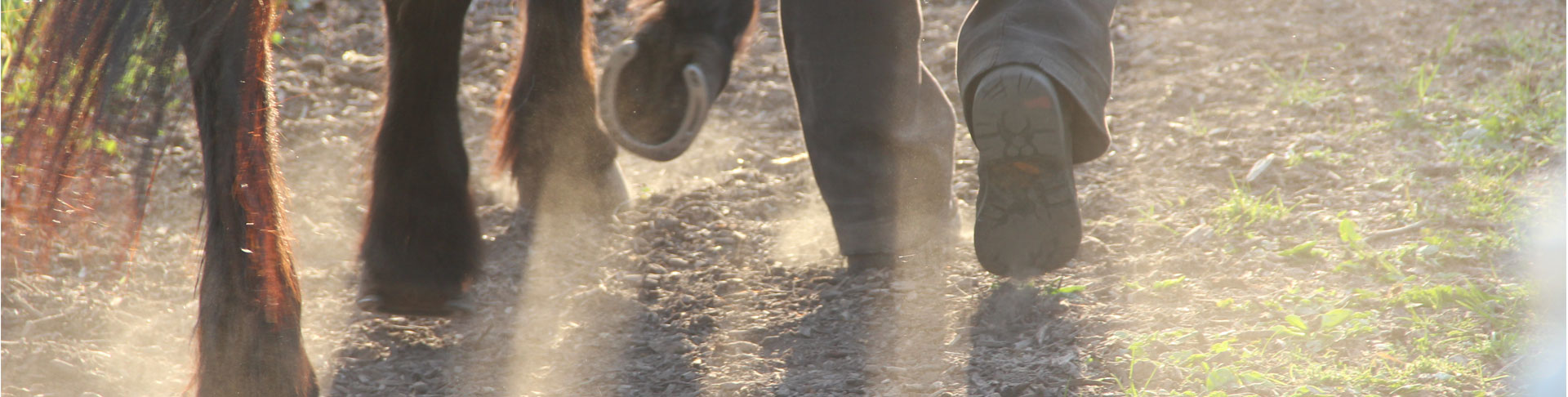 Was kann man bei der Ponyvilla Kunterbunt erleben?