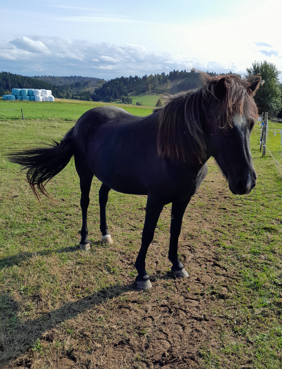 Sekúnda fra Lundgaard, die Zweite